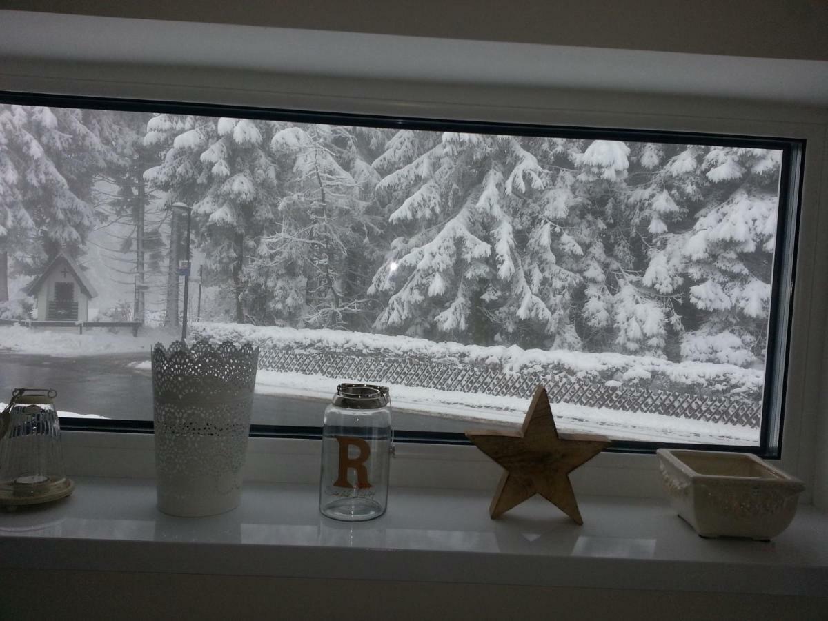Ferienhaus Bergidylle Winterberg Zewnętrze zdjęcie