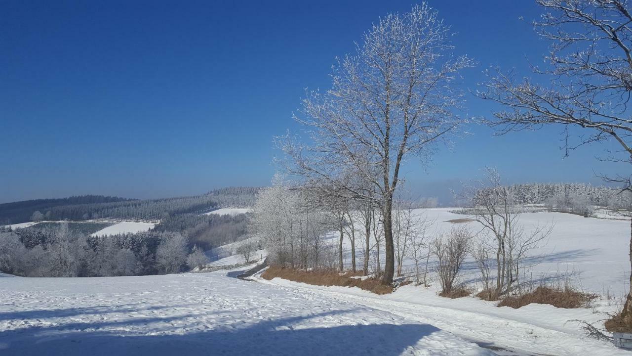 Ferienhaus Bergidylle Winterberg Zewnętrze zdjęcie