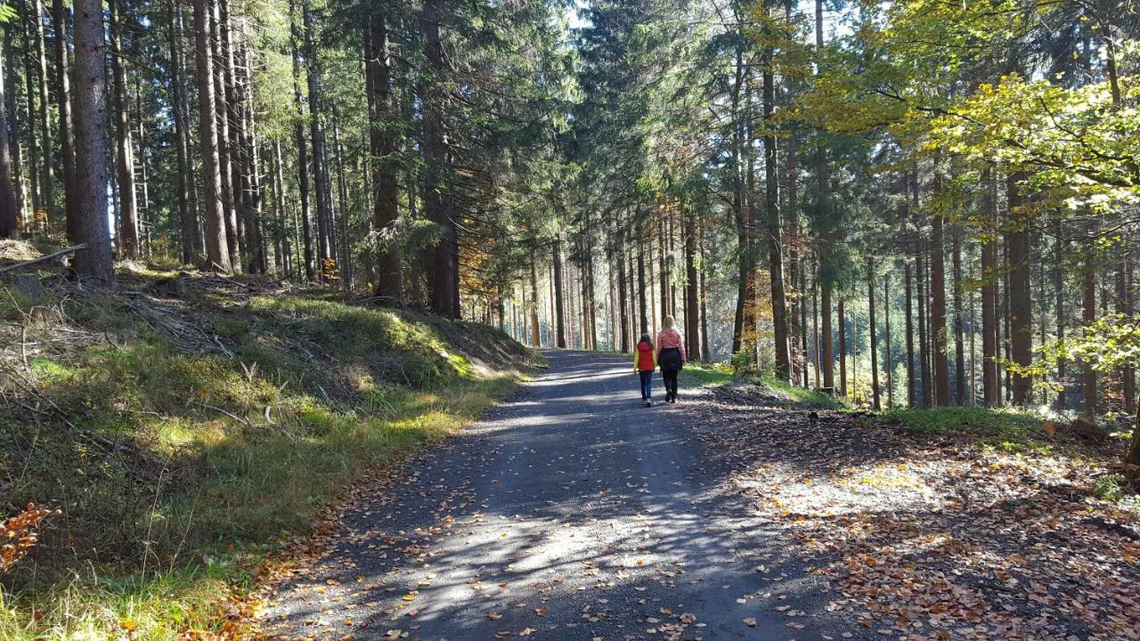 Ferienhaus Bergidylle Winterberg Zewnętrze zdjęcie