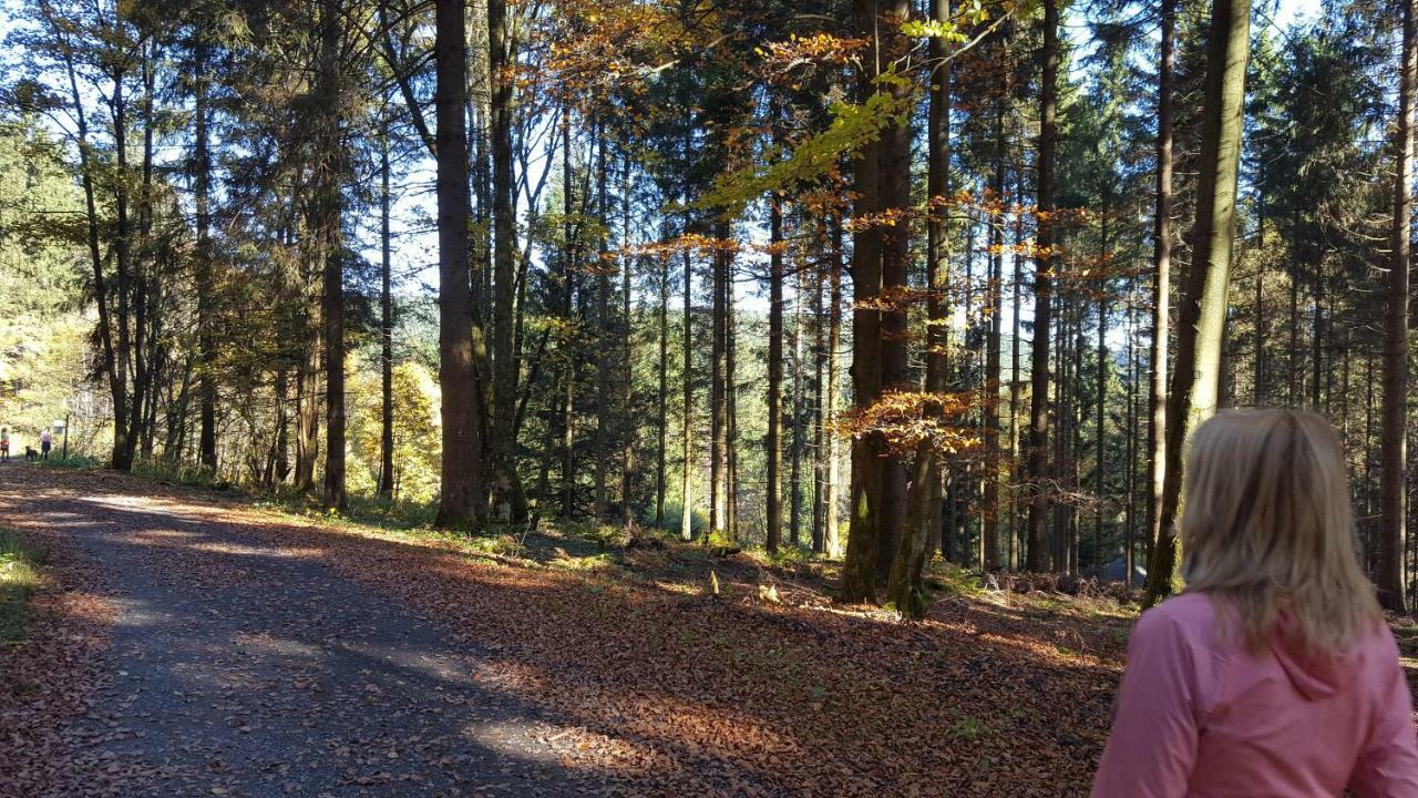 Ferienhaus Bergidylle Winterberg Zewnętrze zdjęcie
