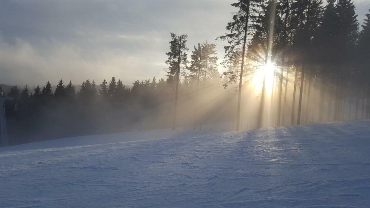 Ferienhaus Bergidylle Winterberg Zewnętrze zdjęcie