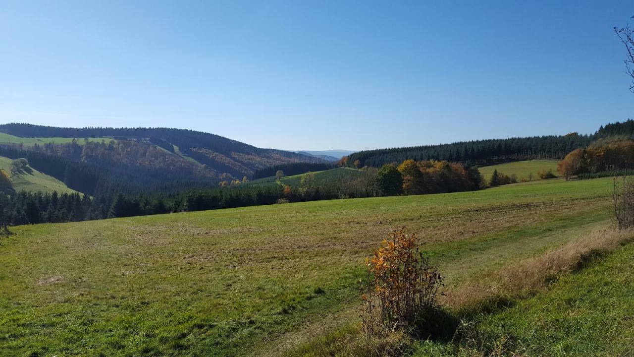 Ferienhaus Bergidylle Winterberg Zewnętrze zdjęcie
