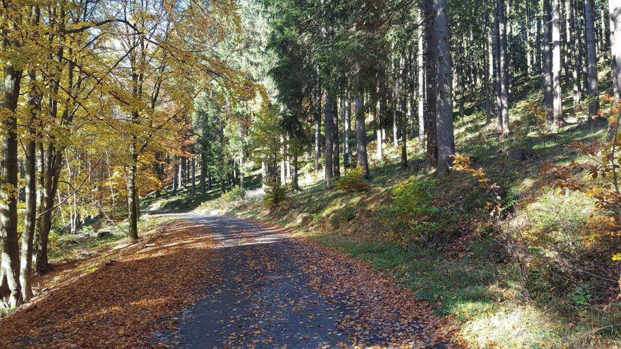 Ferienhaus Bergidylle Winterberg Zewnętrze zdjęcie