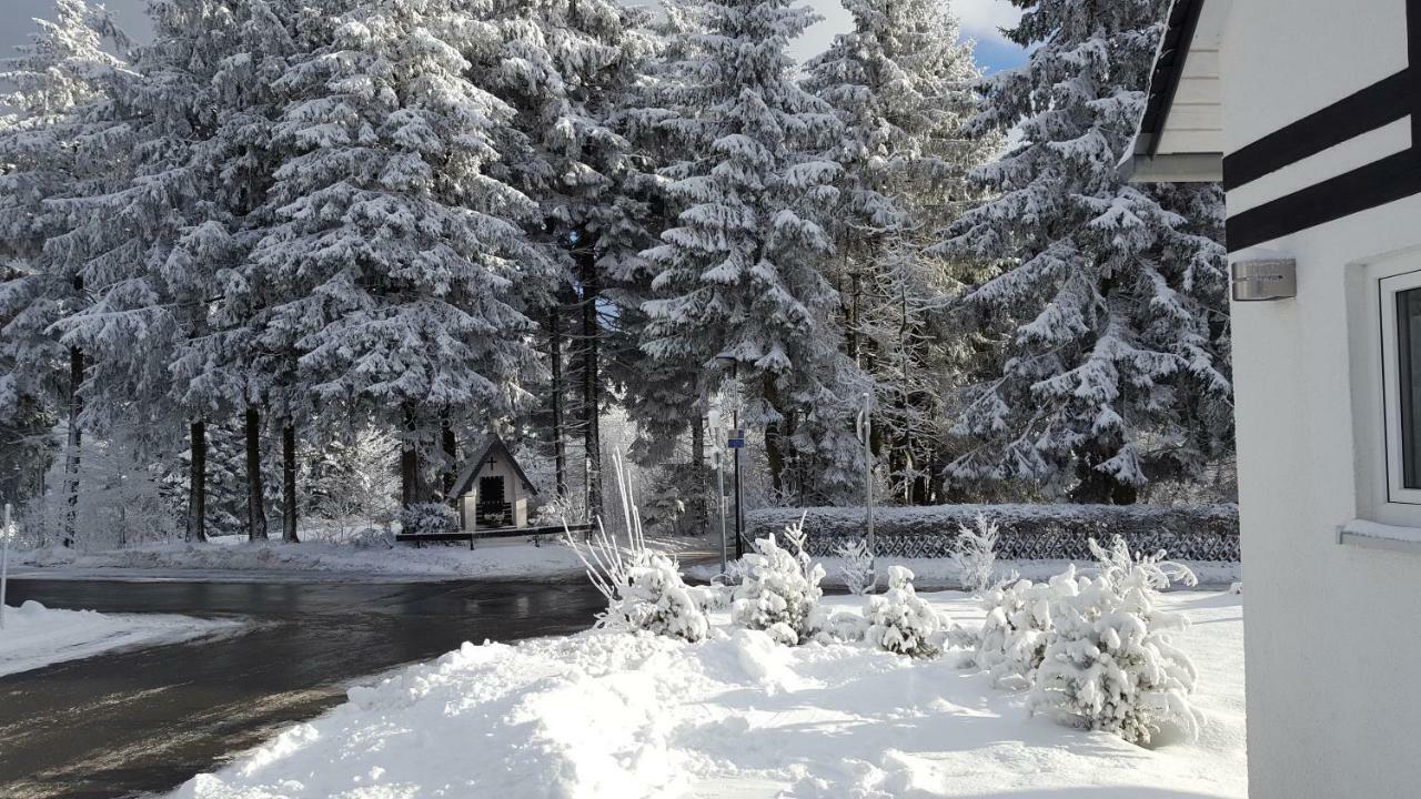Ferienhaus Bergidylle Winterberg Zewnętrze zdjęcie
