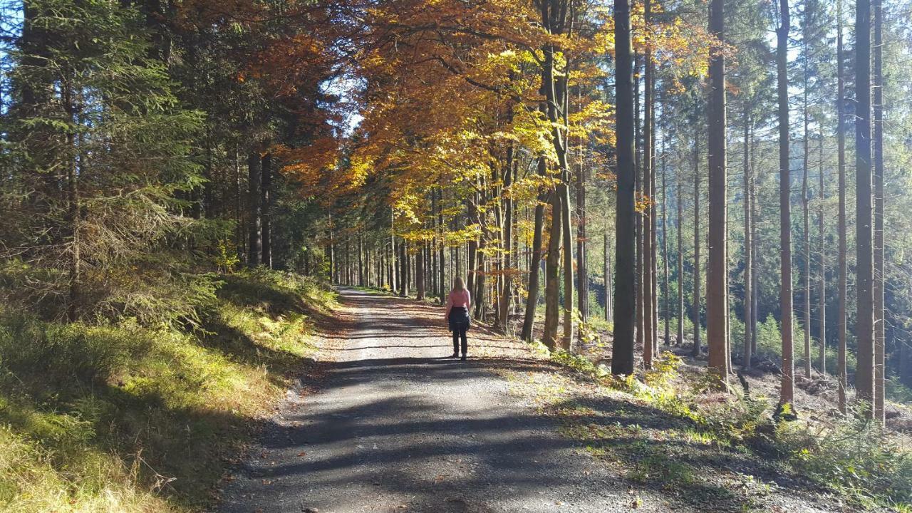 Ferienhaus Bergidylle Winterberg Zewnętrze zdjęcie