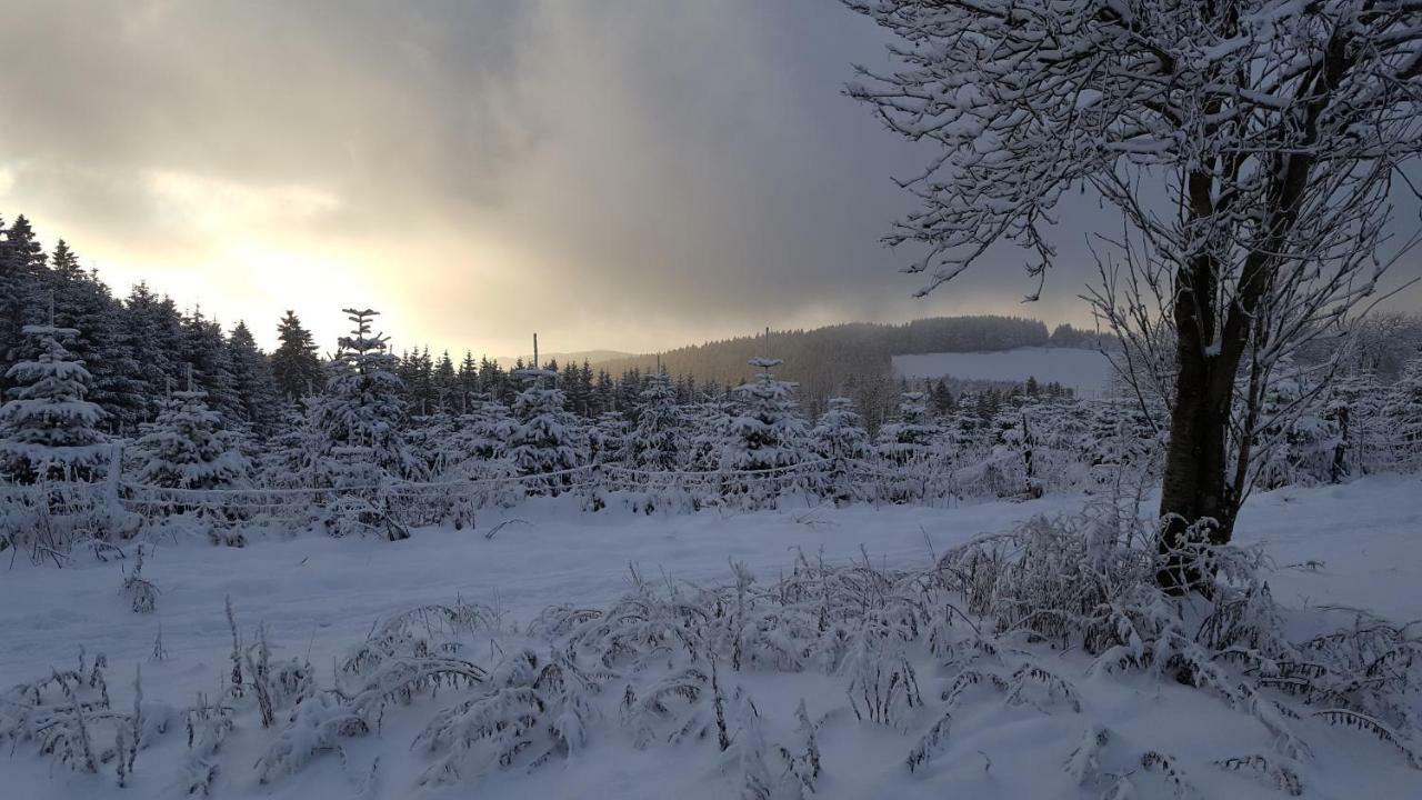 Ferienhaus Bergidylle Winterberg Zewnętrze zdjęcie