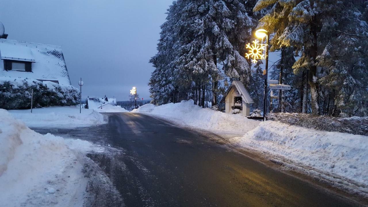 Ferienhaus Bergidylle Winterberg Zewnętrze zdjęcie