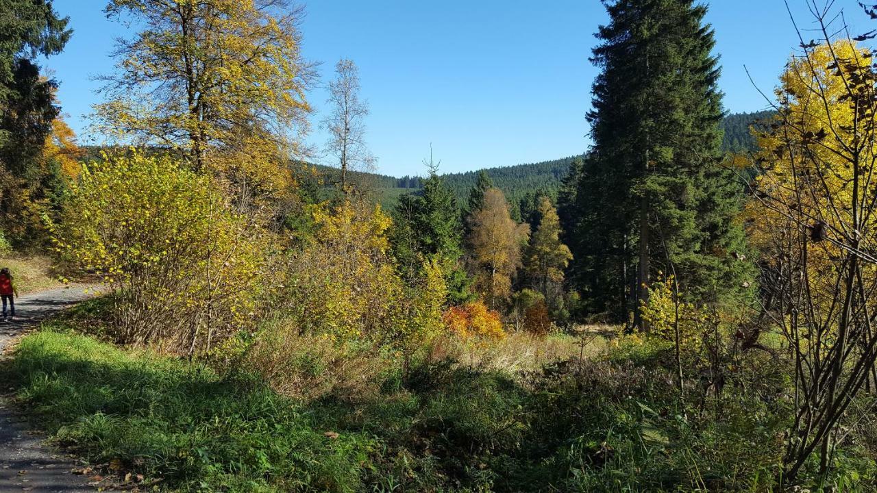 Ferienhaus Bergidylle Winterberg Zewnętrze zdjęcie
